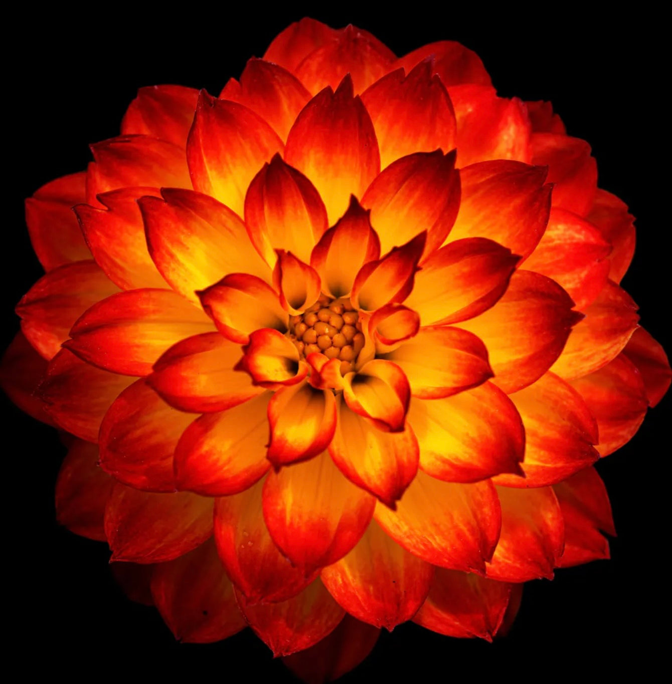 Discover Your 2026 Word of the Year!